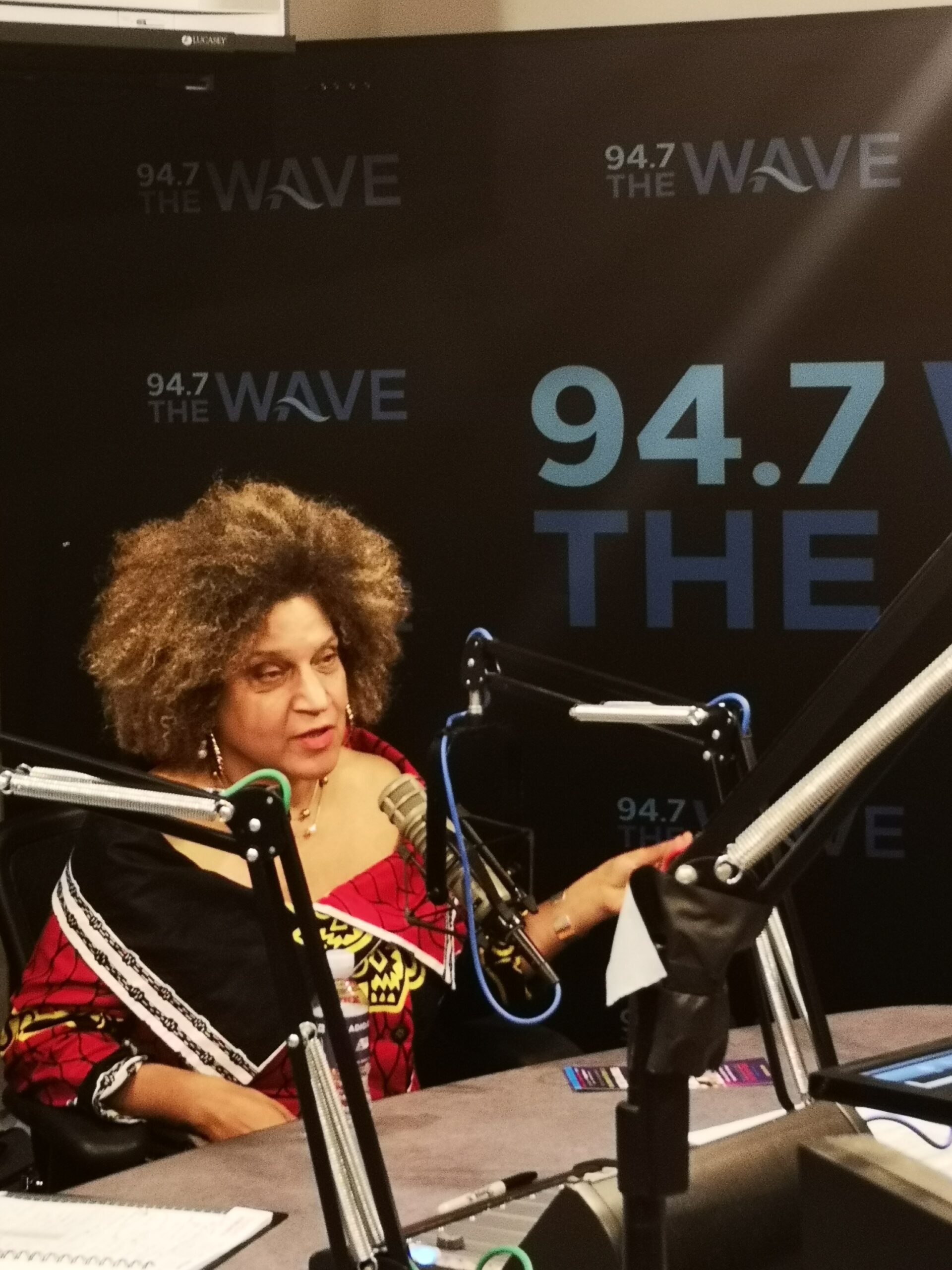 FRANCES-ANNE SOLOMON AND NICKOLAI SALCEDO TALK HERO, PAN AFRICAN FILM FEST